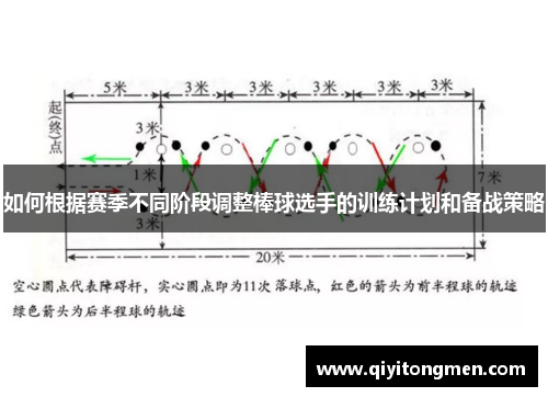 如何根据赛季不同阶段调整棒球选手的训练计划和备战策略