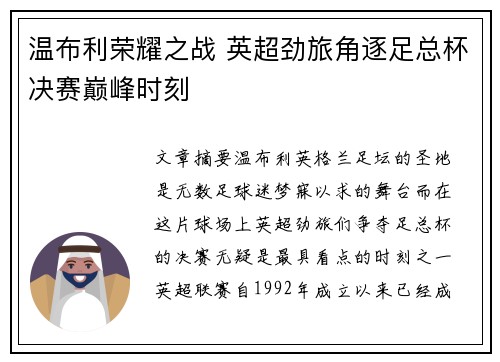 温布利荣耀之战 英超劲旅角逐足总杯决赛巅峰时刻