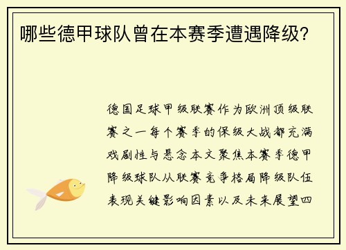 哪些德甲球队曾在本赛季遭遇降级？
